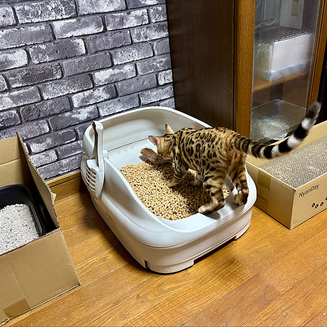 tututu0204さんの部屋