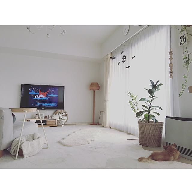 haruhinaさんの実例写真