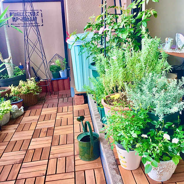naokoさんの部屋