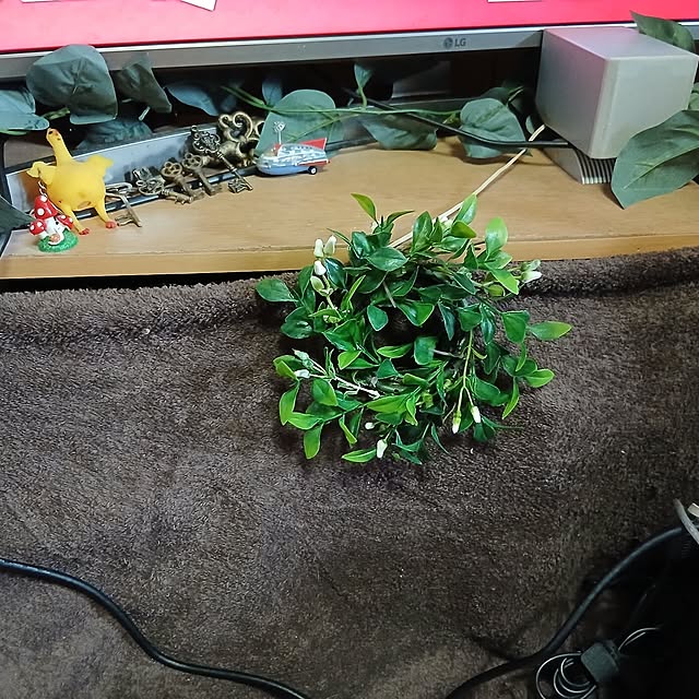 kyonpさんの部屋