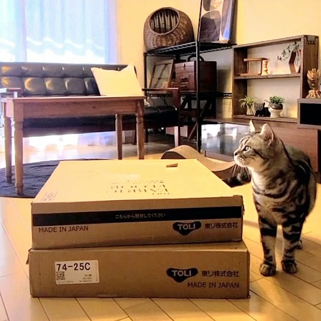 lovepeaceさんの実例写真