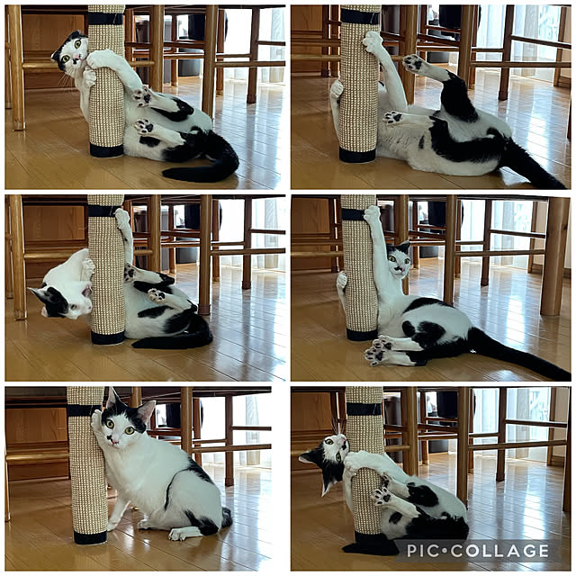 nobikoさんの実例写真