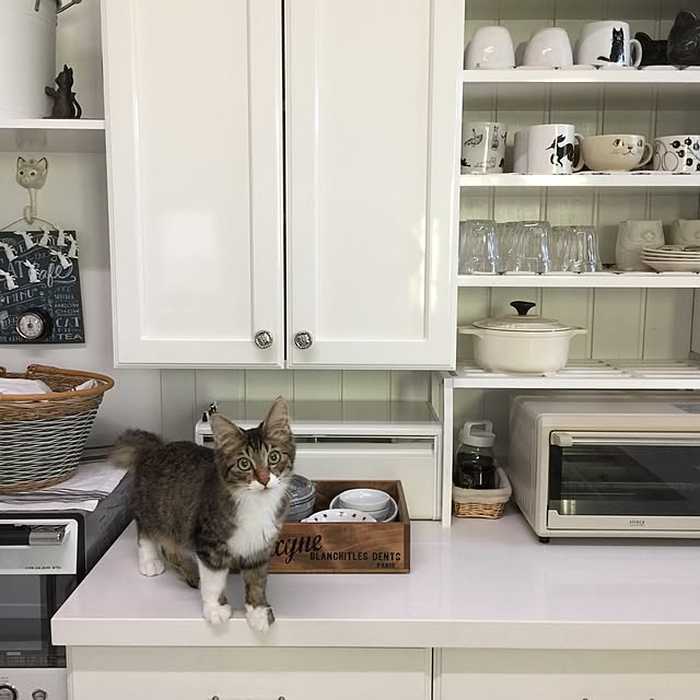 yuchiさんの実例写真