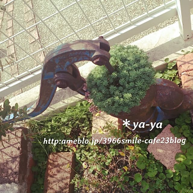 ya-ya.cafeさんの実例写真