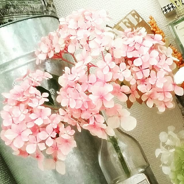 rocoさんの実例写真