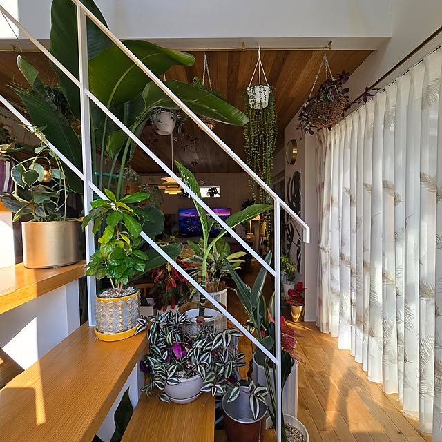 nonbiri_house_さんの実例写真