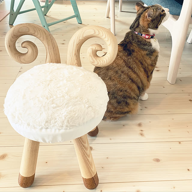 momoさんの実例写真