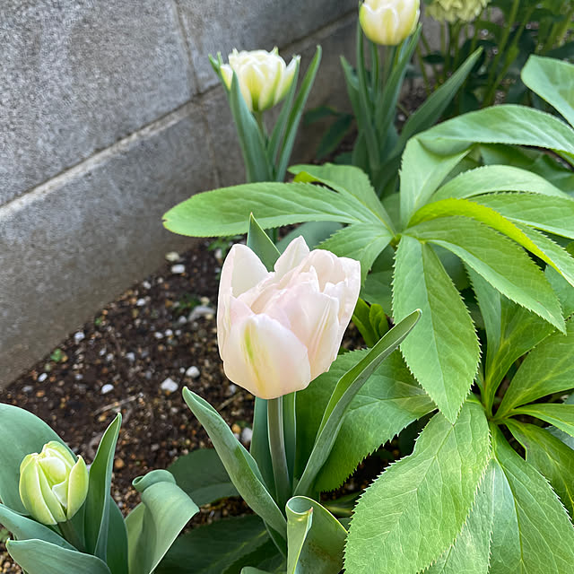 Junran50さんの部屋