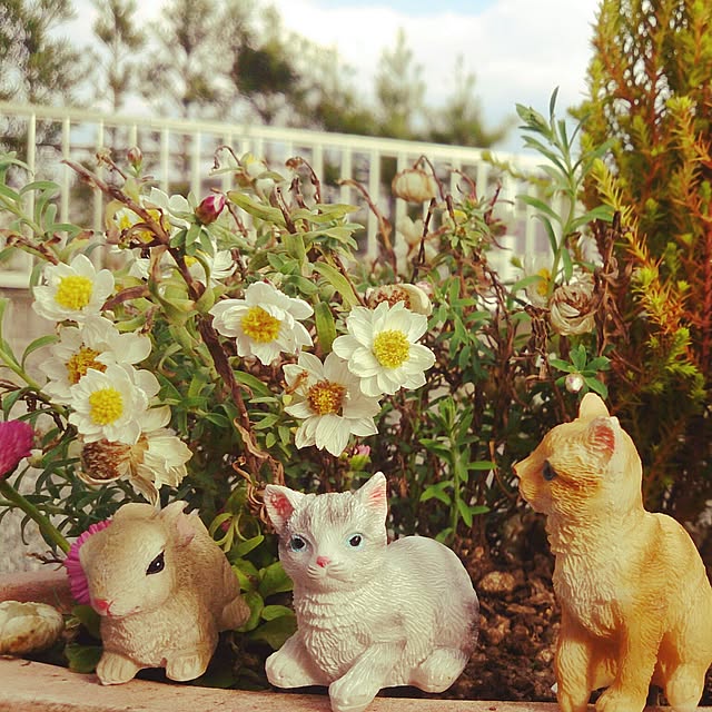 monriyさんの実例写真