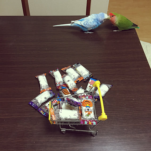 toratanさんの実例写真