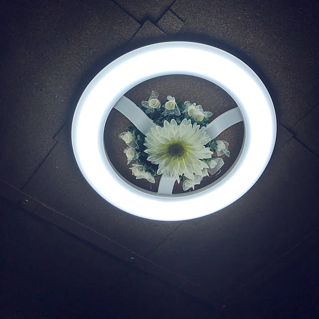 tokyo.oumeさんの実例写真