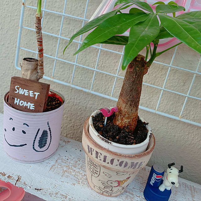 totoさんの実例写真