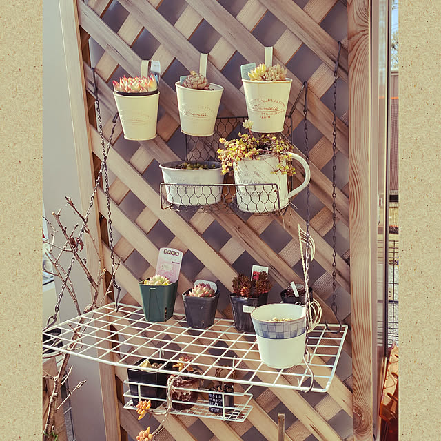 yumiさんの実例写真