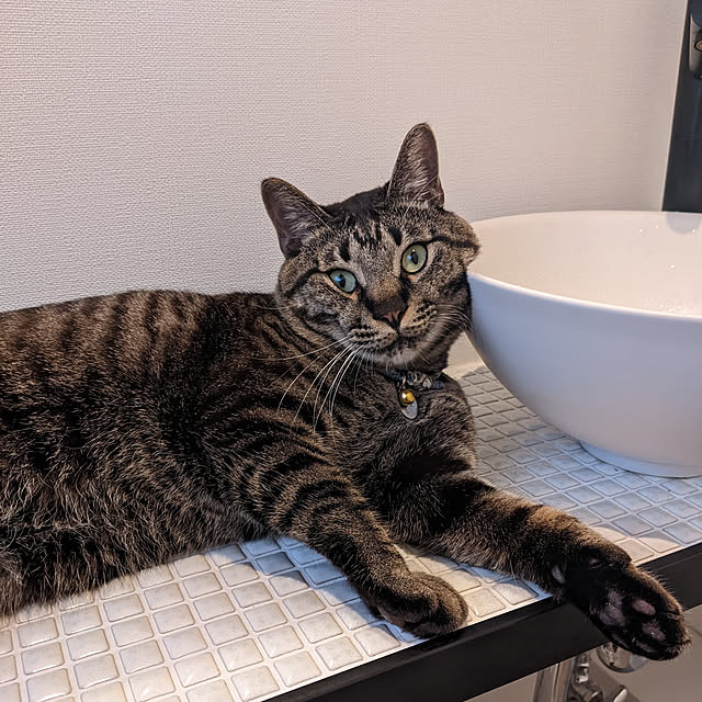 実例写真