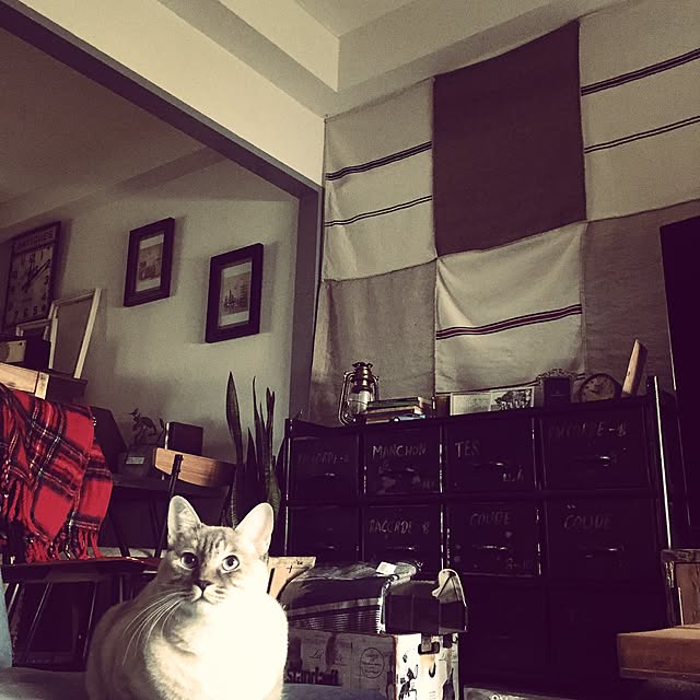 Naoki.さんの実例写真