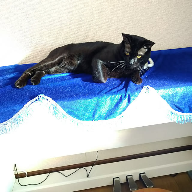 Tさんの実例写真