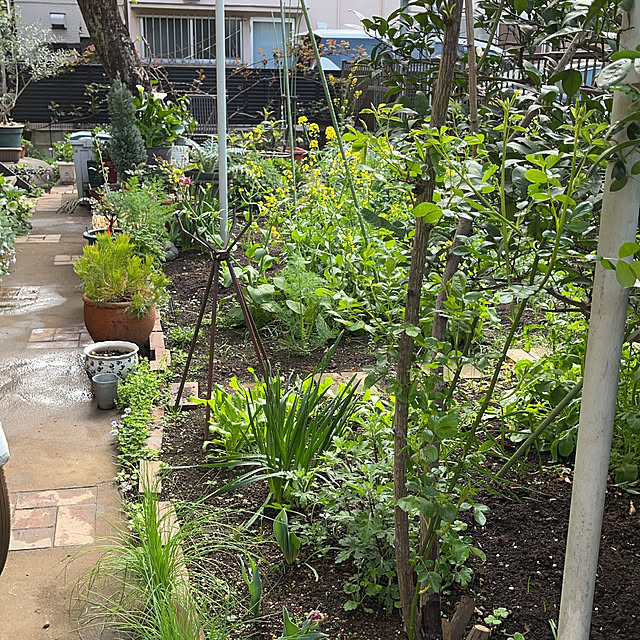 botanさんの部屋