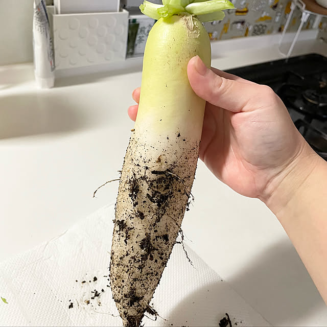 enotasoさんの実例写真