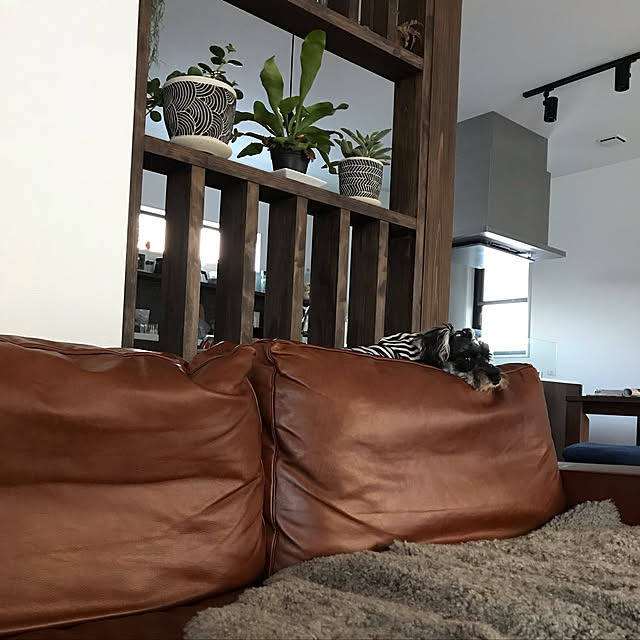 ken.ku128さんの実例写真