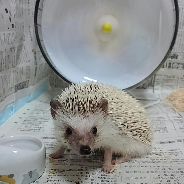 Reikomさんの実例写真