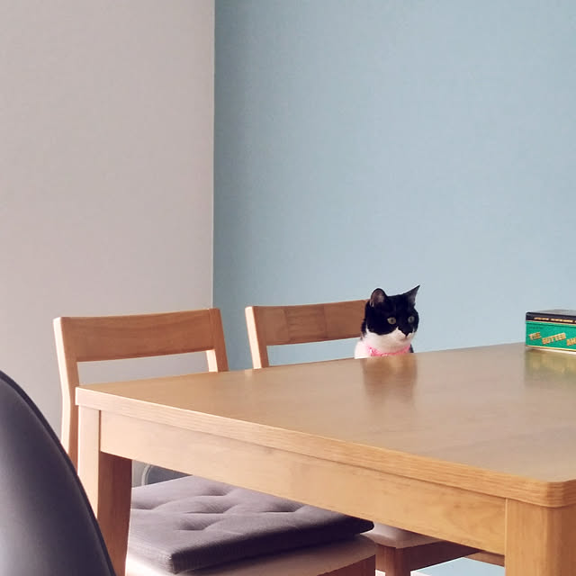Yさんの実例写真