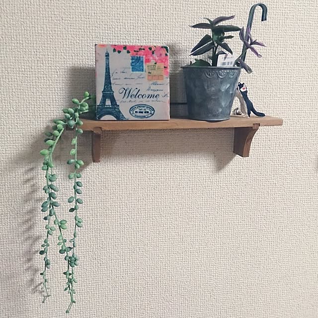 実例写真