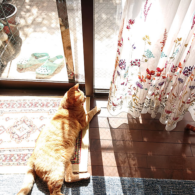 okyosan101さんの実例写真