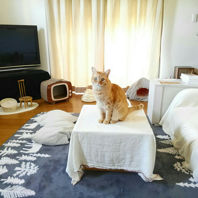 mayutan.さんの実例写真
