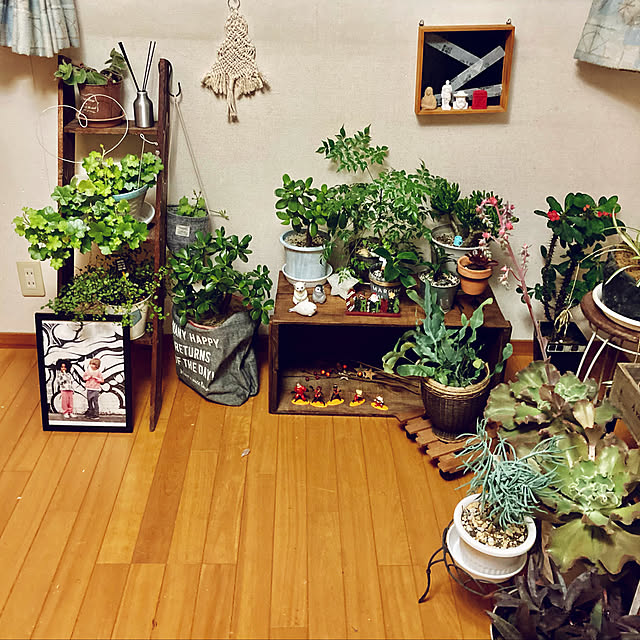CoCo0617さんの実例写真