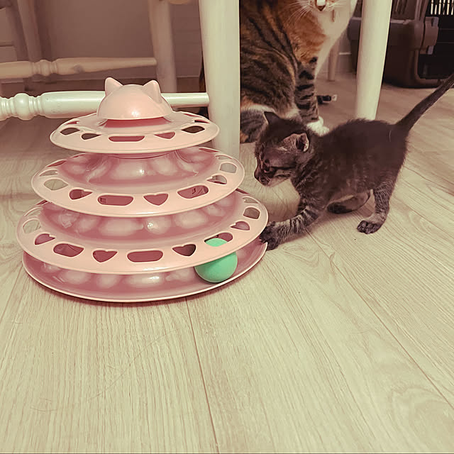 nekomaruさんの実例写真