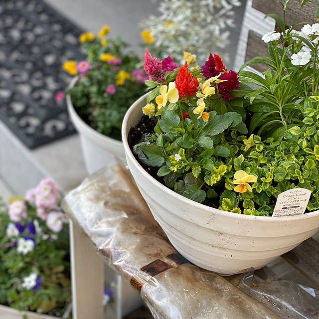 yokoさんの実例写真