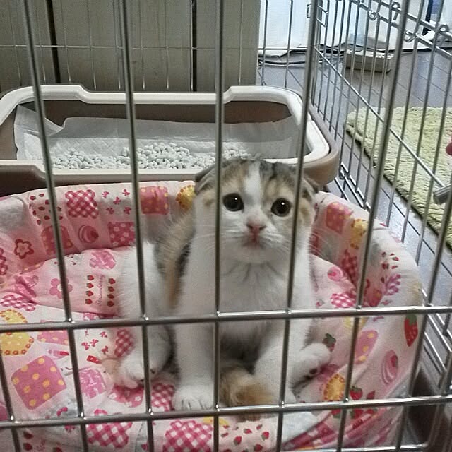 mikiさんの実例写真