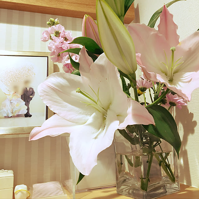 yumi.coroさんの実例写真