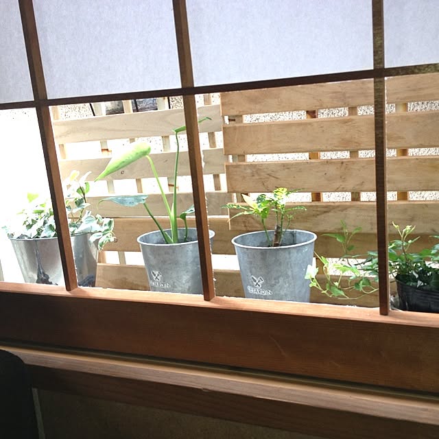 mihoさんの実例写真