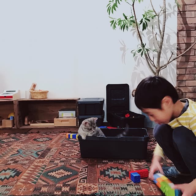 Asamiさんの実例写真