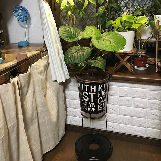 dainaoreiさんの実例写真