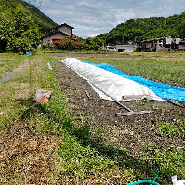 makaronさんの部屋