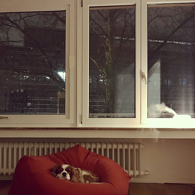 Mugiさんの実例写真