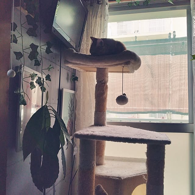 runaさんの部屋
