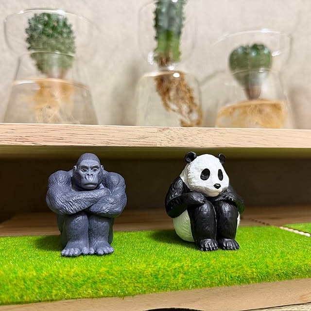 Yoshimiさんの実例写真