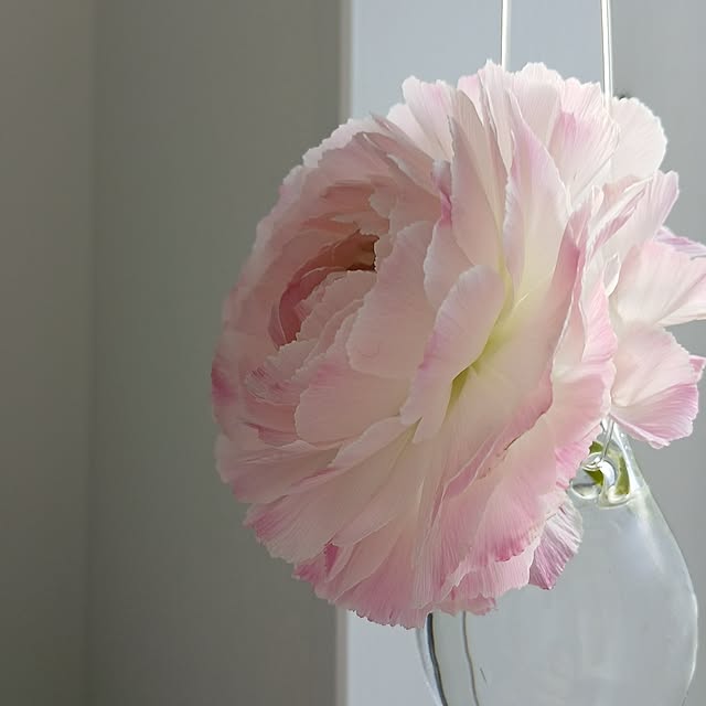 chidorinさんの部屋