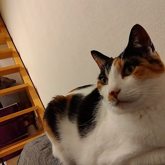 nappi0719さんの実例写真