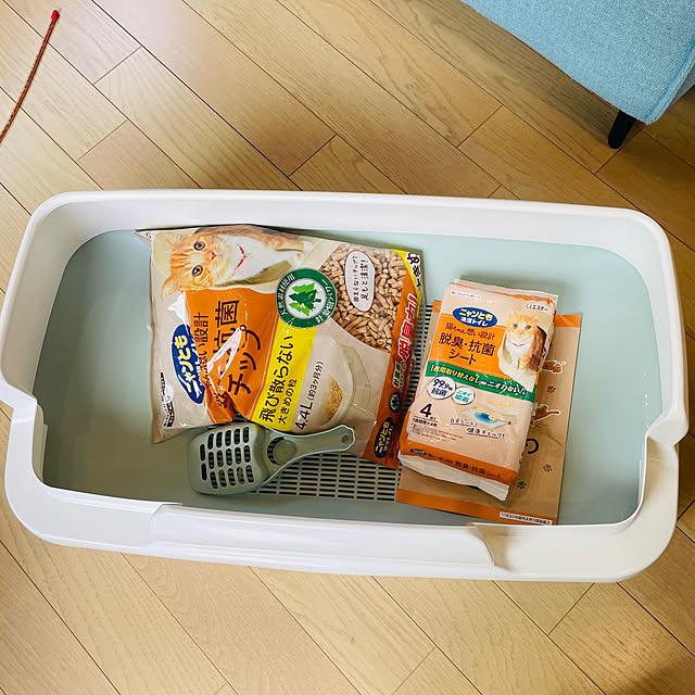 imomusiさんの部屋