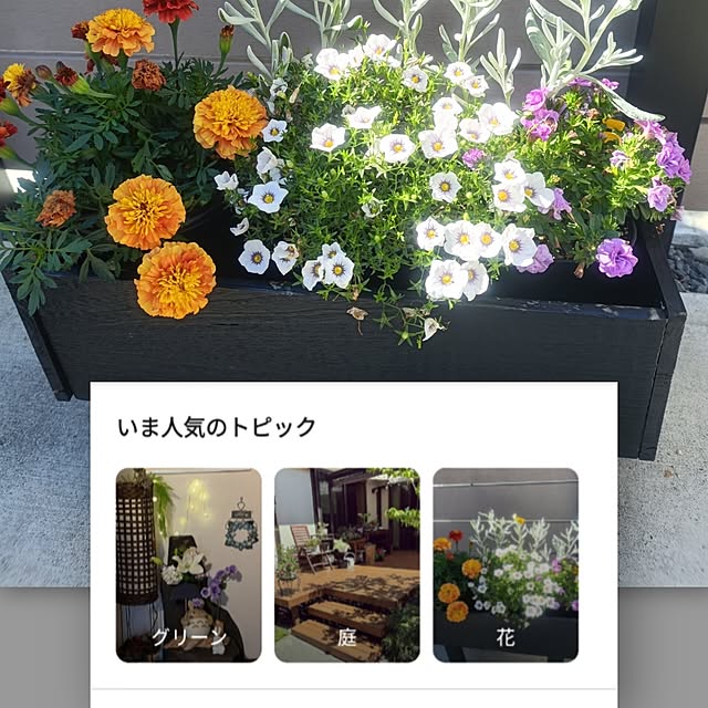 ie_enikkiさんの実例写真