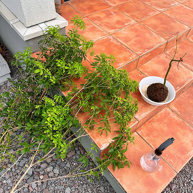 hanahana1444さんの部屋