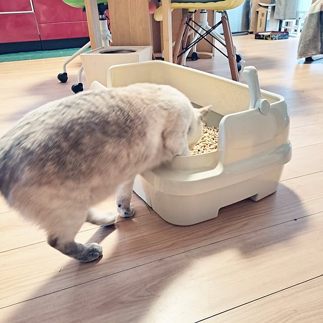kiyohima229さんの部屋