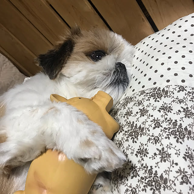 Miyokoさんの実例写真
