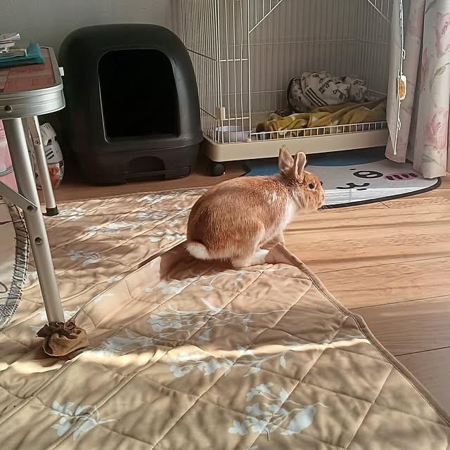 aiさんの部屋