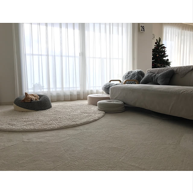 haruhinaさんの実例写真