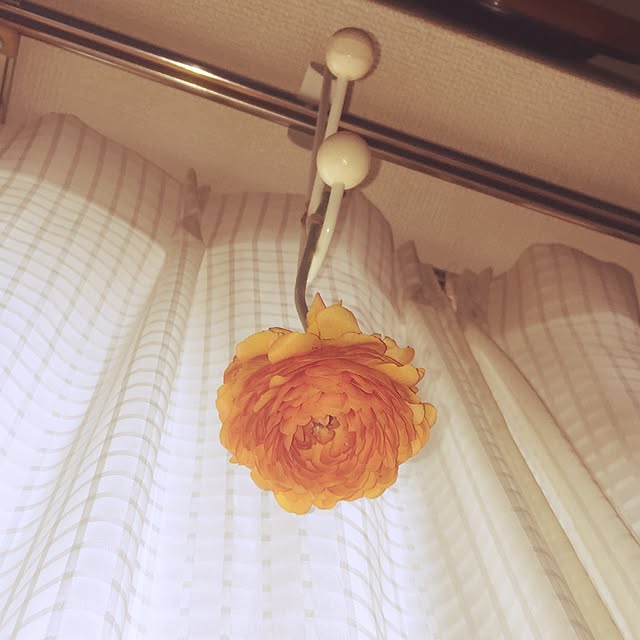 kojiro120513さんの実例写真